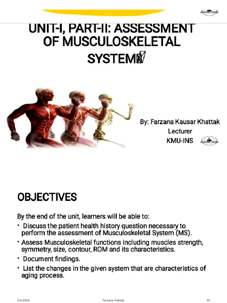 Musculoskeletal System | PDF