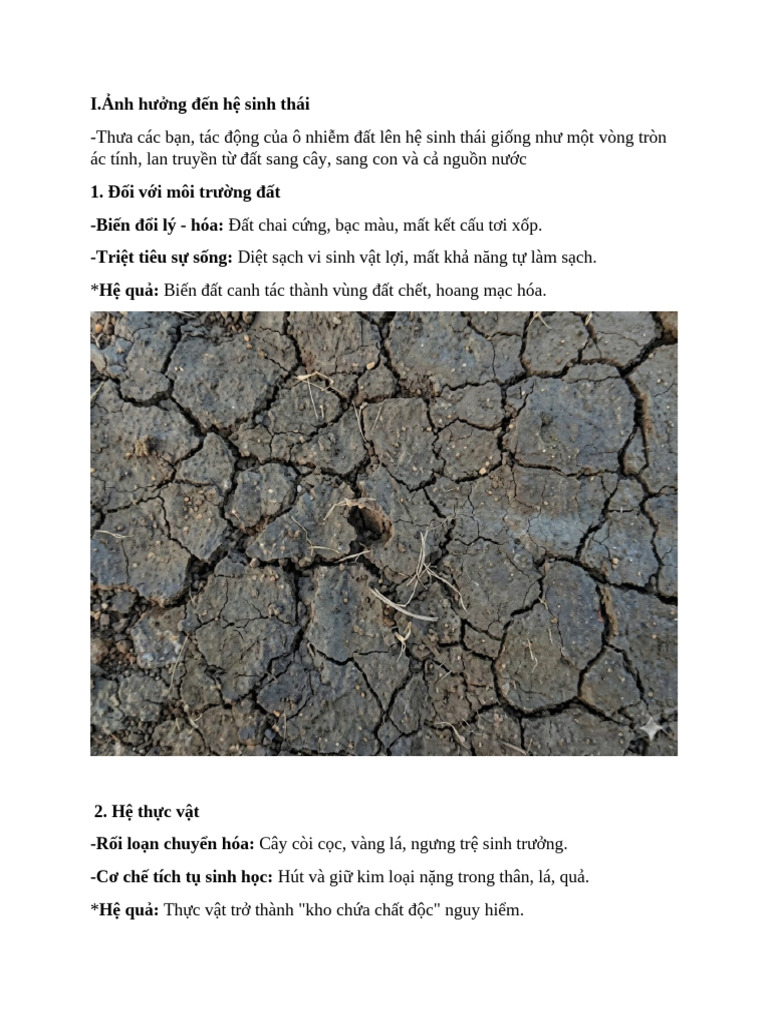1111 | PDF