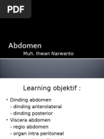Download Anatomi - Dinding Abdomen by Alfa Miftahul Khoir SN98930064 doc pdf