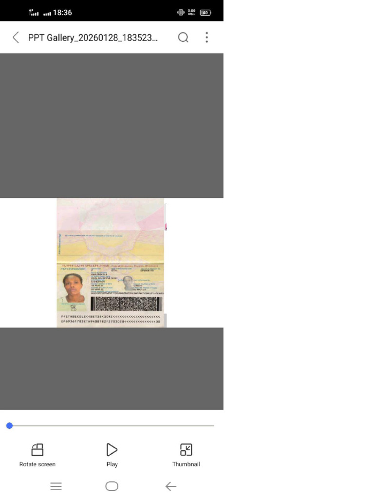 My PDF | PDF