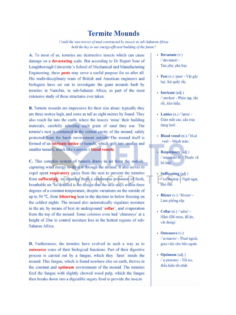 Termite Mounds - Students | PDF