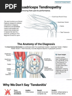 Tendinopathy Insights from Dr. Jill Cook | PDF | Physical Therapy ...