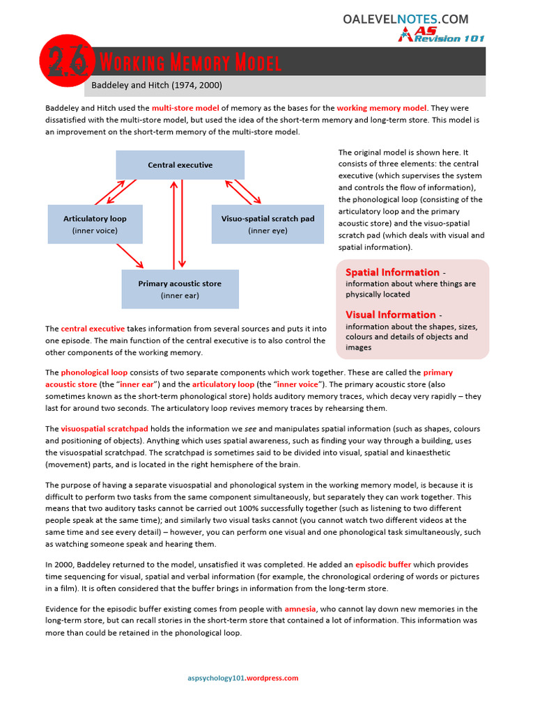 2-6 Working Memory Model | PDF | Neuroscience | Cognition