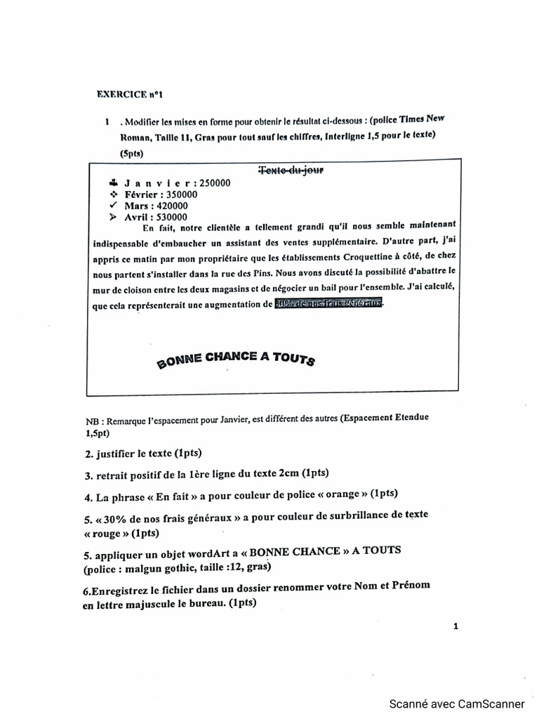 Devoir Informatique LSNB by Joseph Et Cheick | PDF