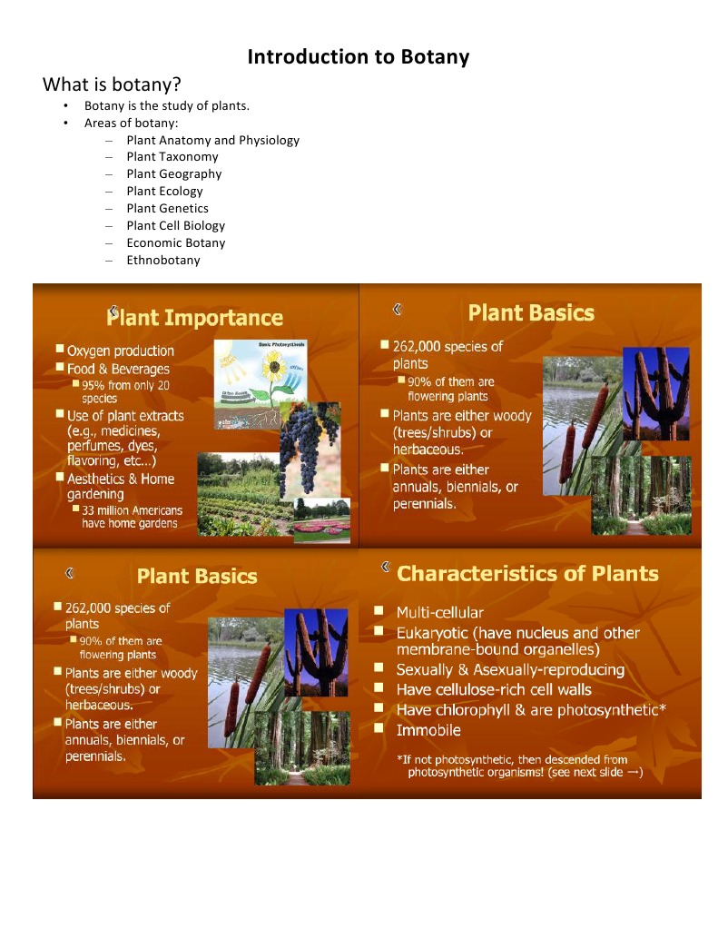 Botany Handout PDF