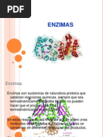 enzimas