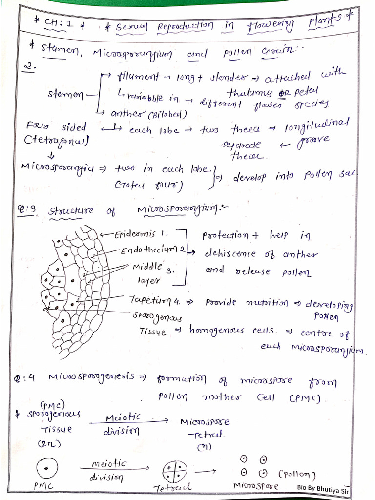 CH 1 English Medium Short Note | PDF