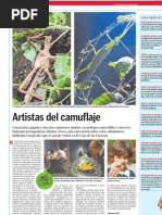 Download Artistas del camuflaje by Ciencia en La Voz de la Escuela SN989327 doc pdf