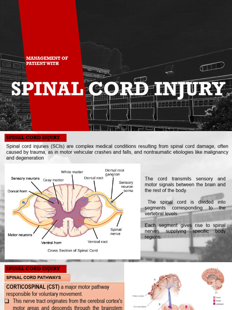SCI.pptx | PDF | Spinal Cord Injury | Spinal Cord