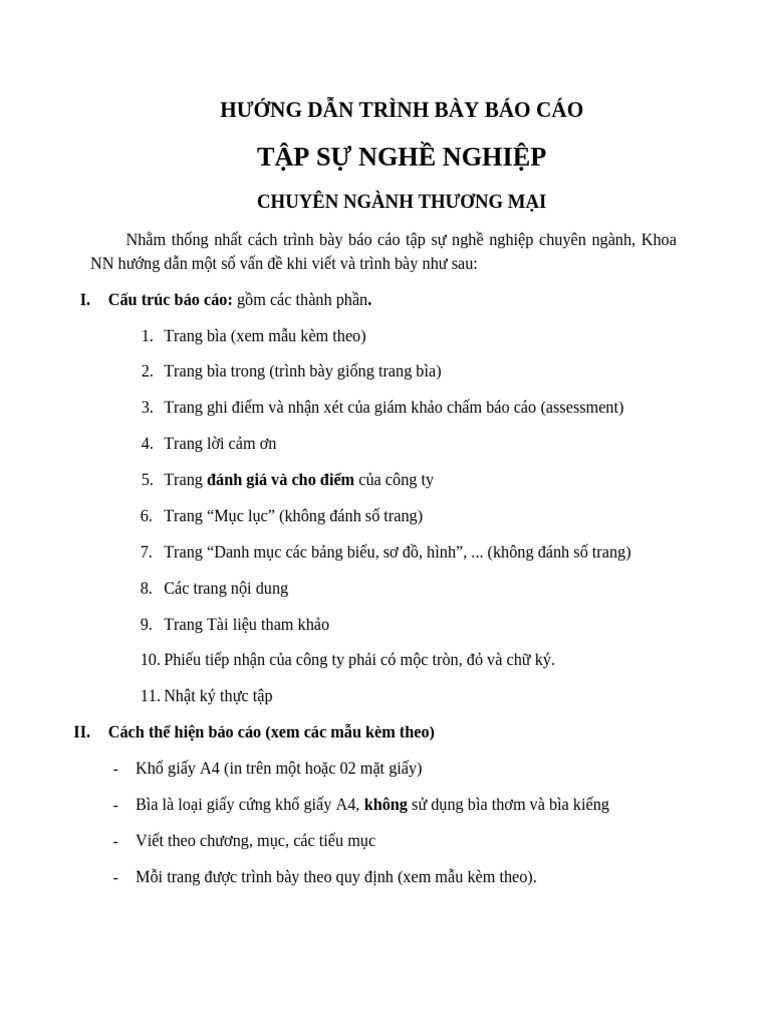3a Internship Report Guideline Viet Version | PDF