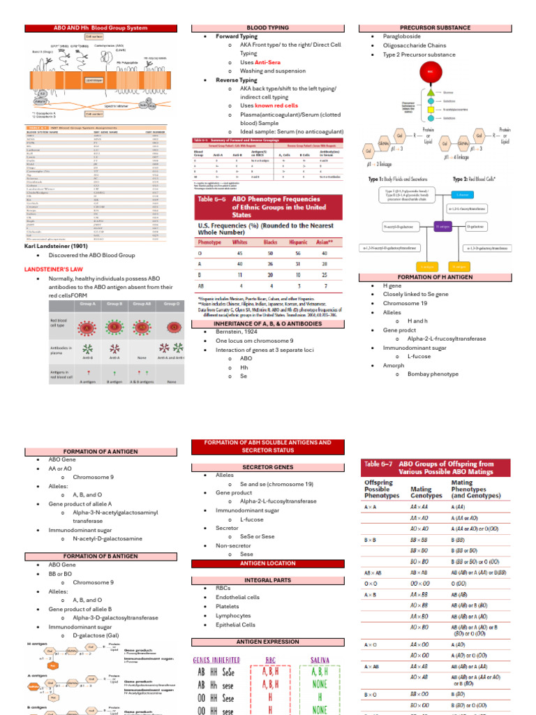 HH and ABO Blood Group System | PDF | Blood Type | Tissue (Biology)
