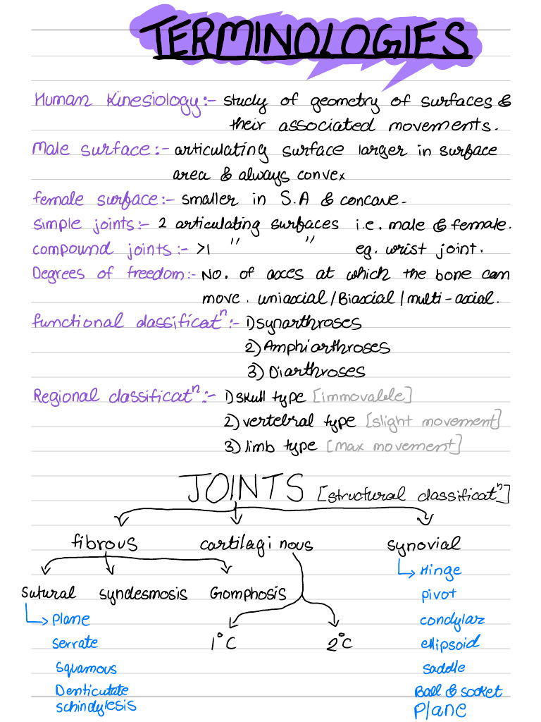 Joints | PDF