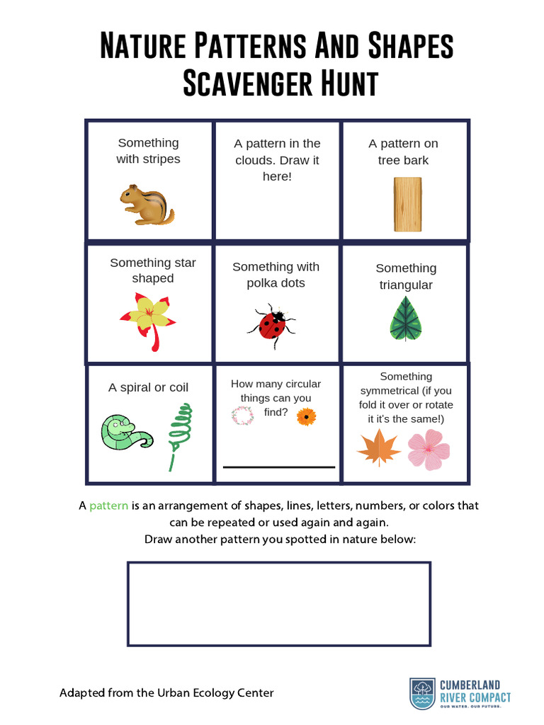 Nature Patterns and Shapes | PDF