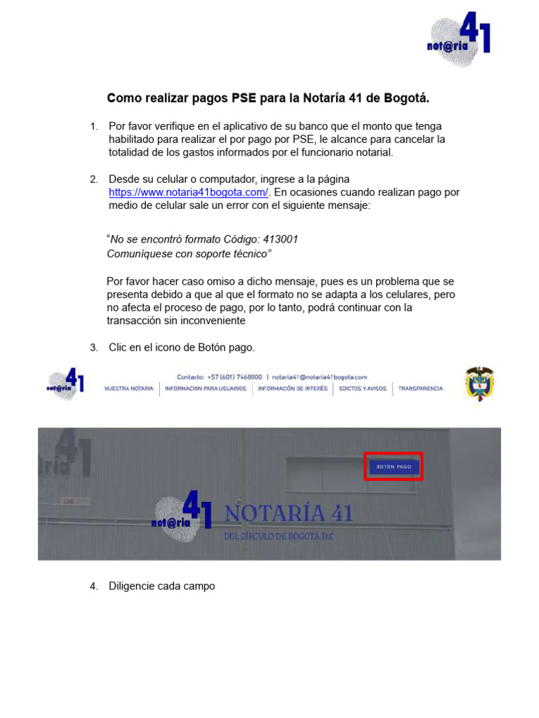 Instructivo Pse | PDF