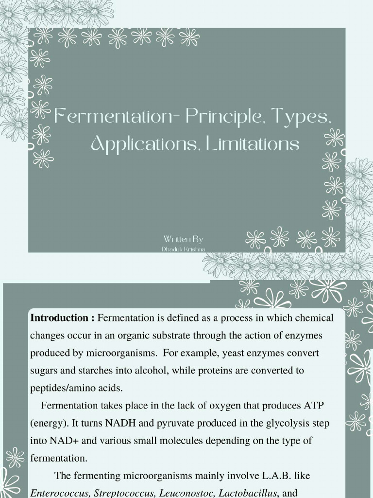 Fermantation Compressed | PDF