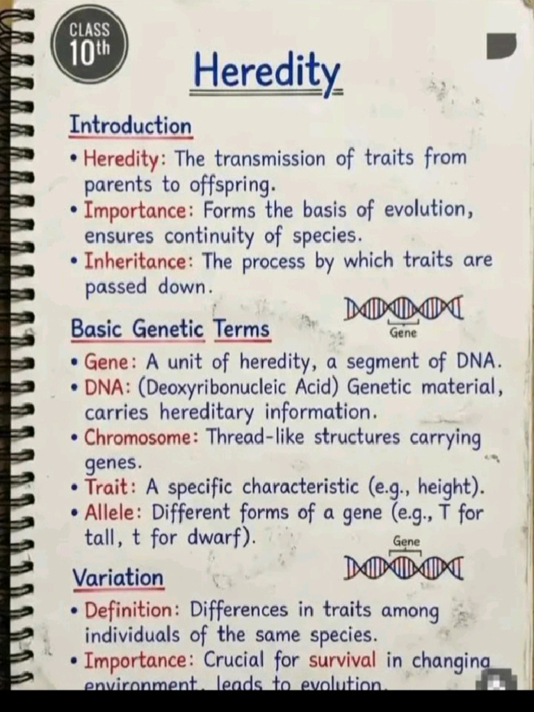 Heredity Notes | PDF