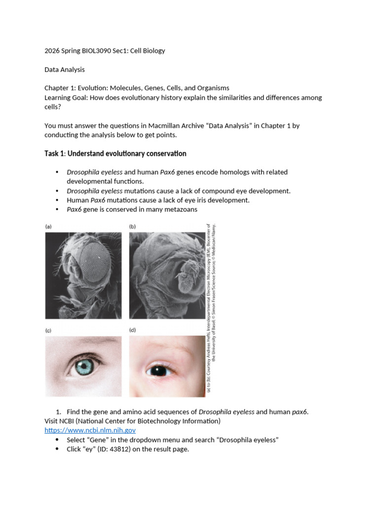 BIOL 3090 Data Analysis I | PDF | Eukaryotes | Cell (Biology)