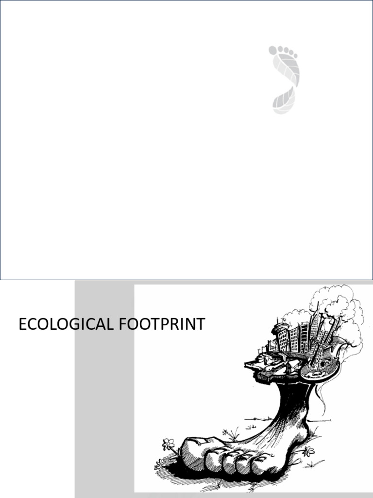 Sustainable Architecture 3 | PDF | Greenhouse Gas | Carbon Footprint