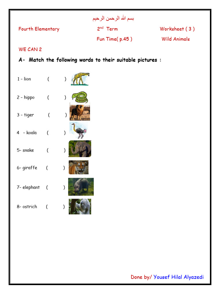 Worksheet ( 3 ) Wild Animals | PDF