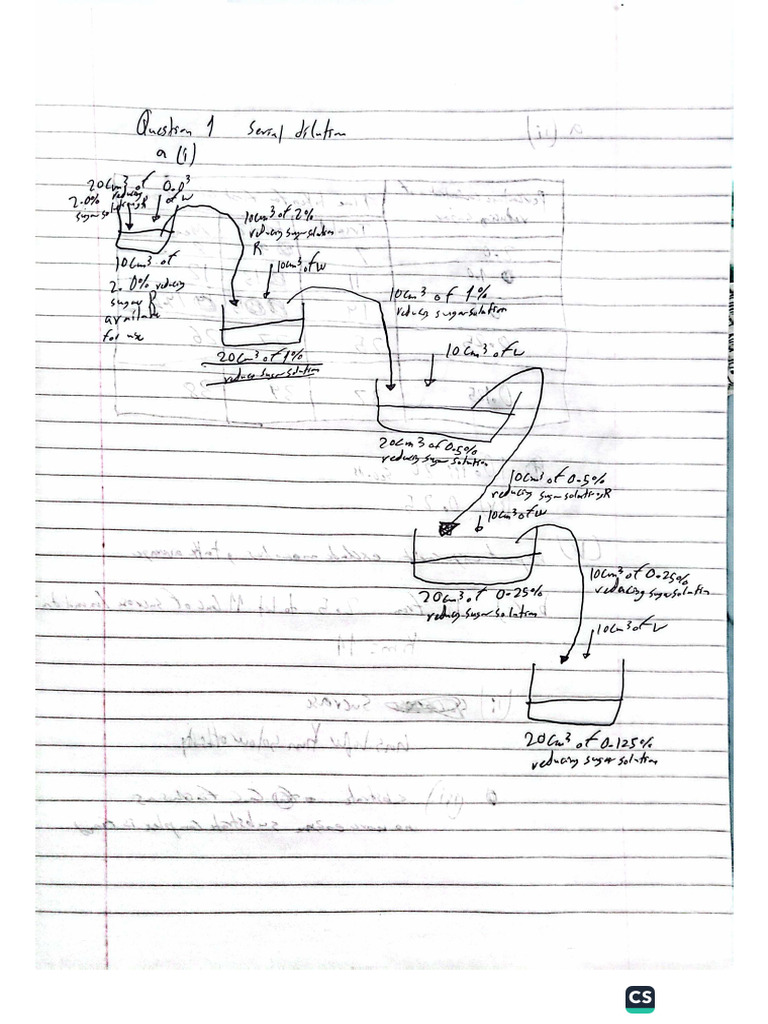 Exam 4 | PDF