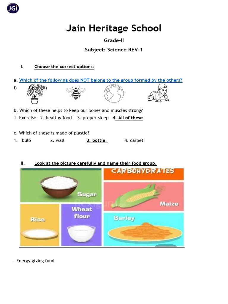 Grade 2-UT 2- Science Revision 1-Ans Key | PDF