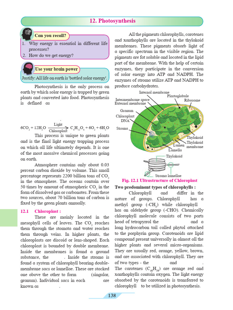 Selfstudys Com File (12) | PDF | Photosynthesis | Chloroplast