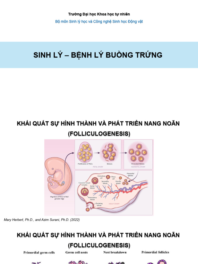 SHSS 2025-Bo Sung Seminar Nhom 1-2 | PDF