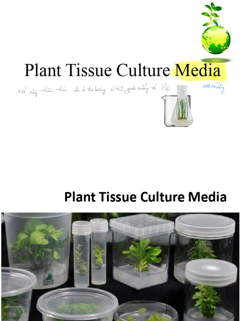 Plant Tissue Culture Media E PDF | PDF | Sterilization (Microbiology ...