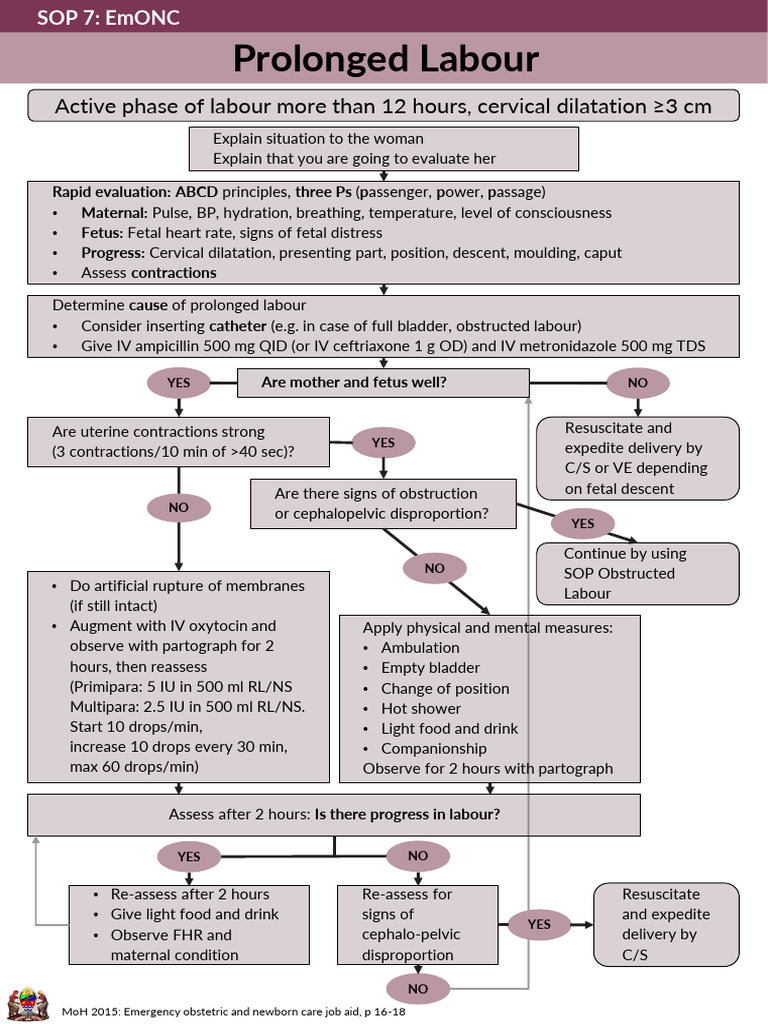 7 EmONC Prolonged Labour | PDF | Childbirth | Obstetrics