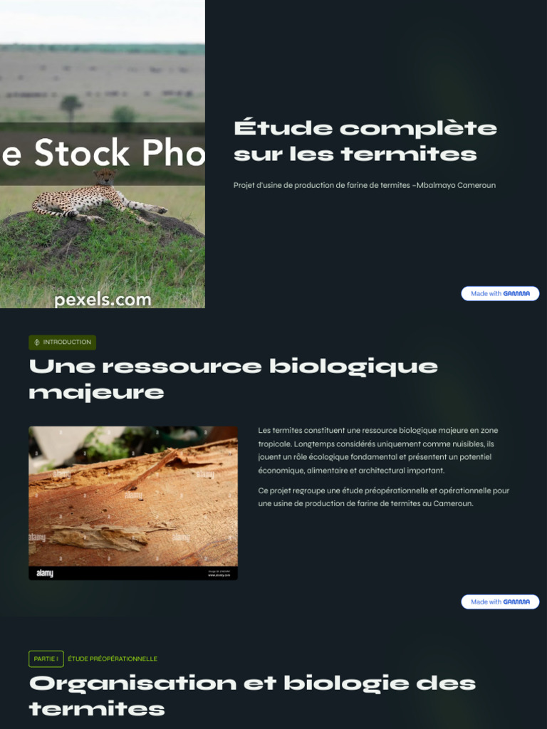 Etude Complete Sur Les Termites | PDF | Écologie | Biologie