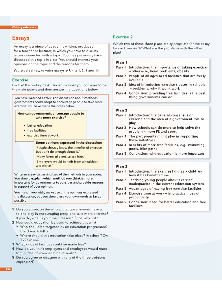 Essay | PDF