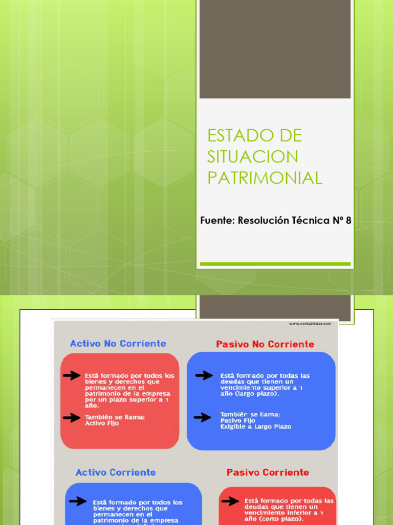 Estado de Situacion Patrimonial - Rubros | PDF