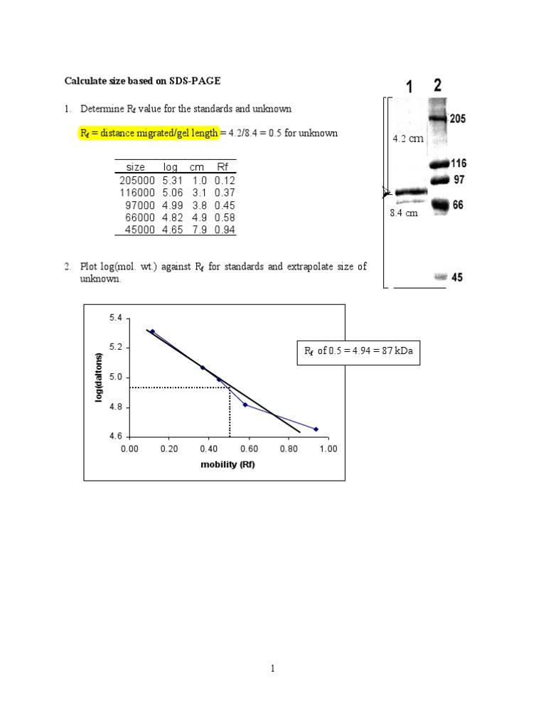 Rf Value Calculation2