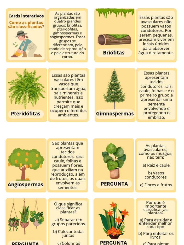 Como As Plantas São Classificadas | PDF | Plantas | Musgo