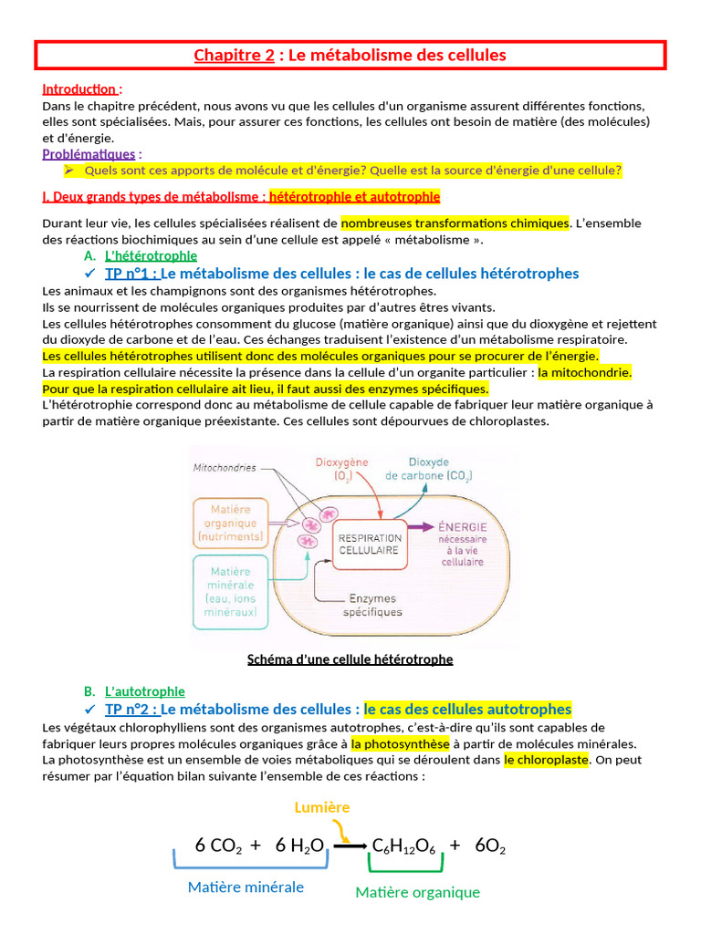 Cours Le Métabolisme Des Cellules 2 | PDF | Métabolisme | Cellule ...