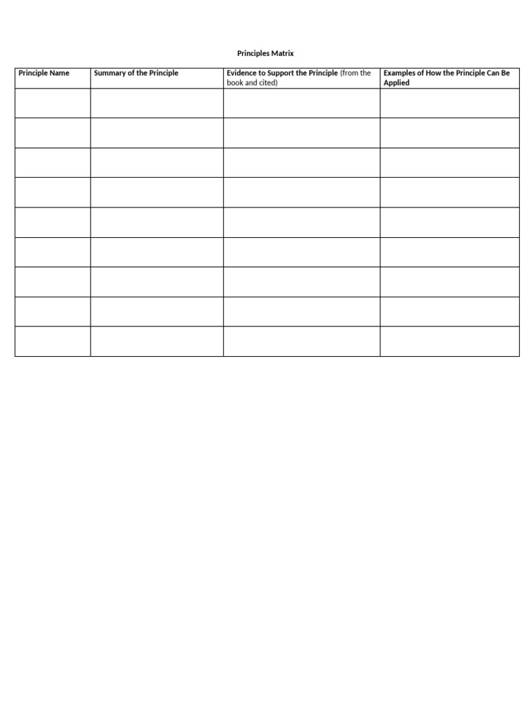 MM Principles Matrix - Template | PDF