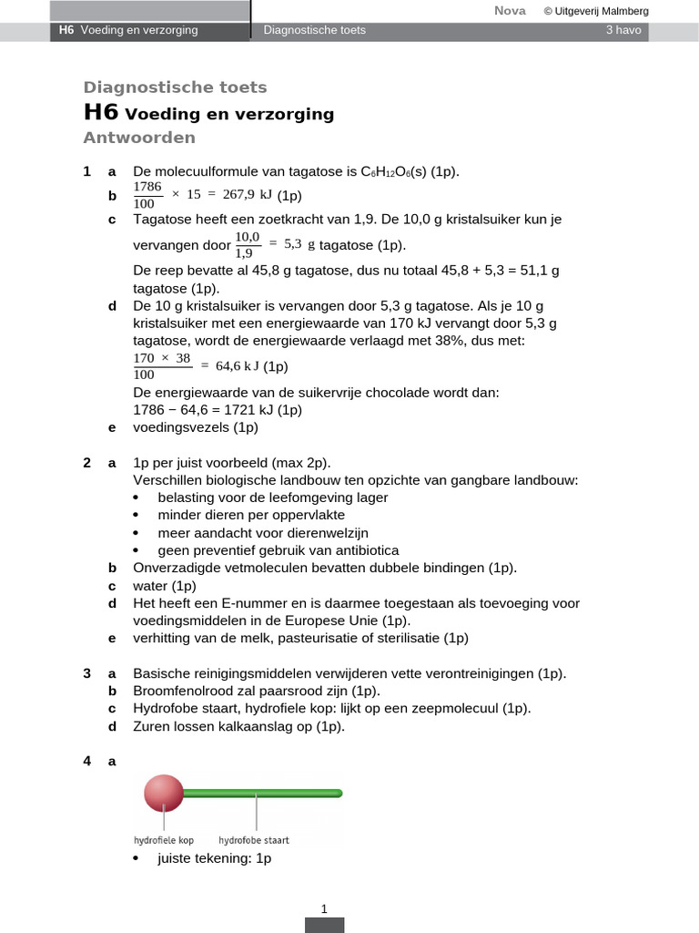 Nova SK 3h h6 Diagnostische Toets Antwoorden | PDF