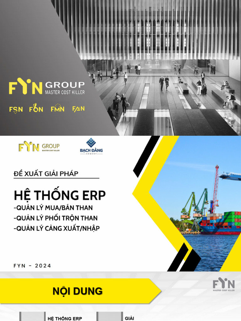 (FYN) Giai Phap ERP - Cang | PDF