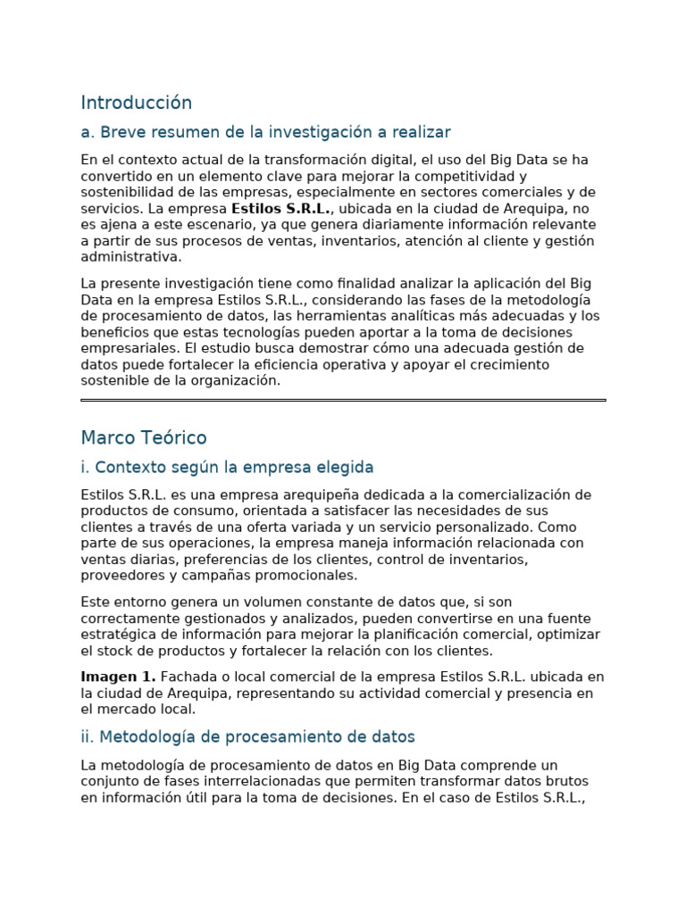 Big Data en La Empresa Estilos S.r.l | PDF | Big Data | Datos
