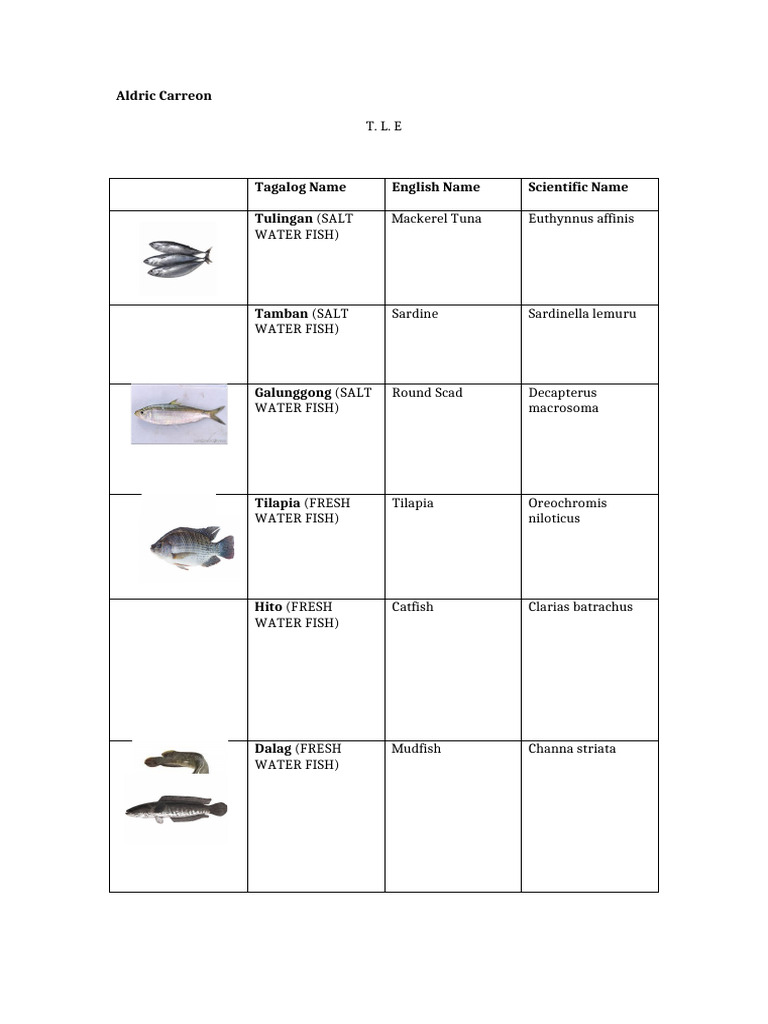 Fish Table | PDF