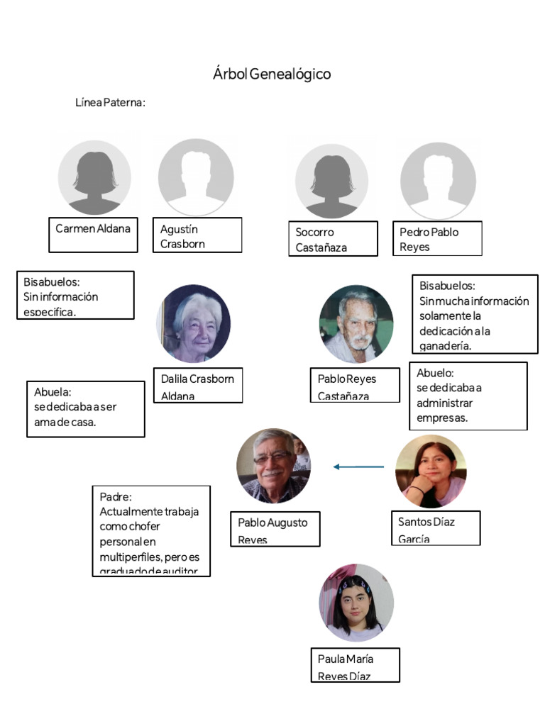 Arbol Genealogico | PDF