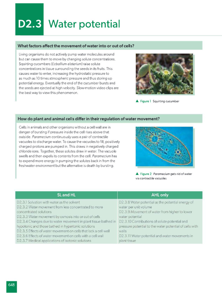 D2.3 Water Potential | PDF