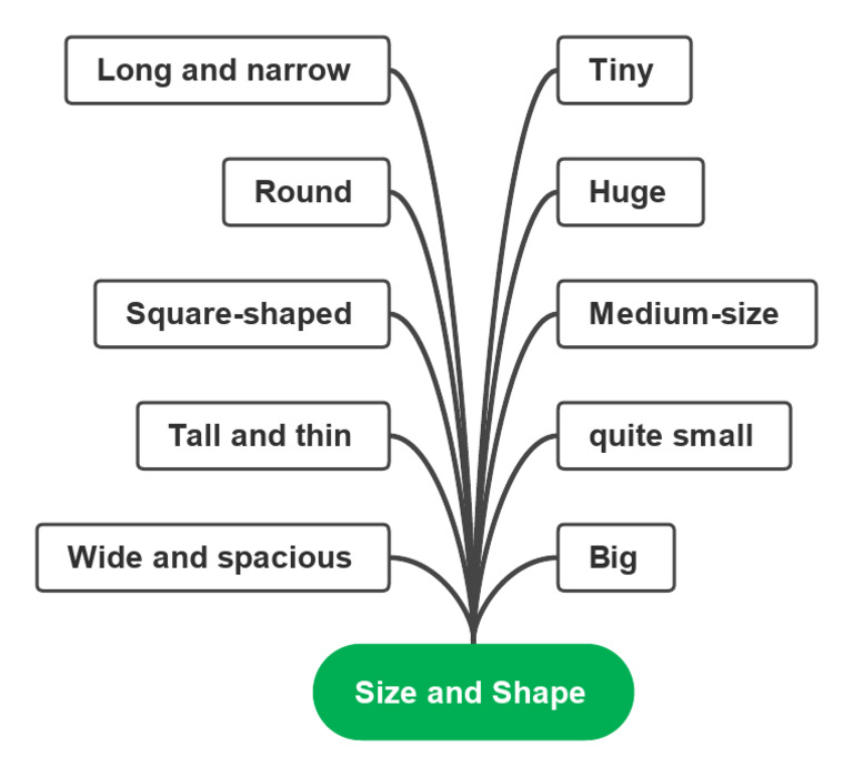 Describing Size and Shape | PDF
