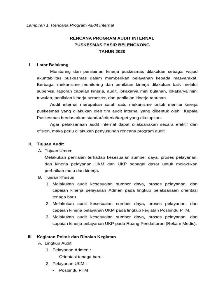 Rencana Program Audit Internal | PDF