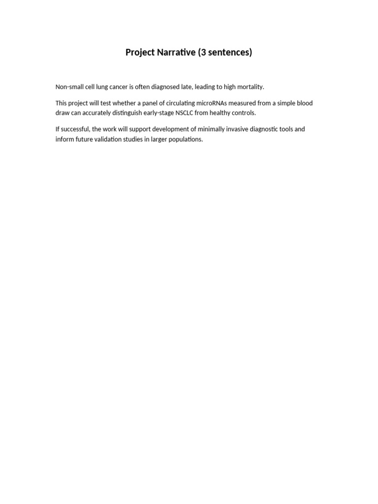 02 Project Narrative 3 Sentences | PDF