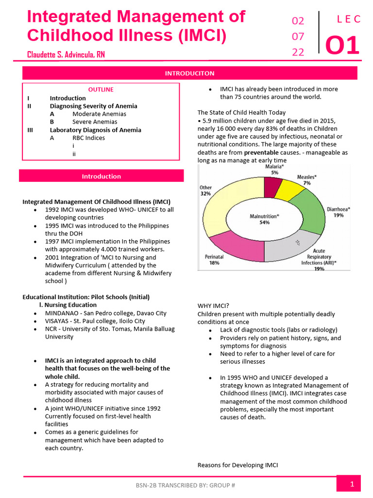 01 - Imci Introduction-Converted 2 | PDF | Pneumonia | Diarrhea