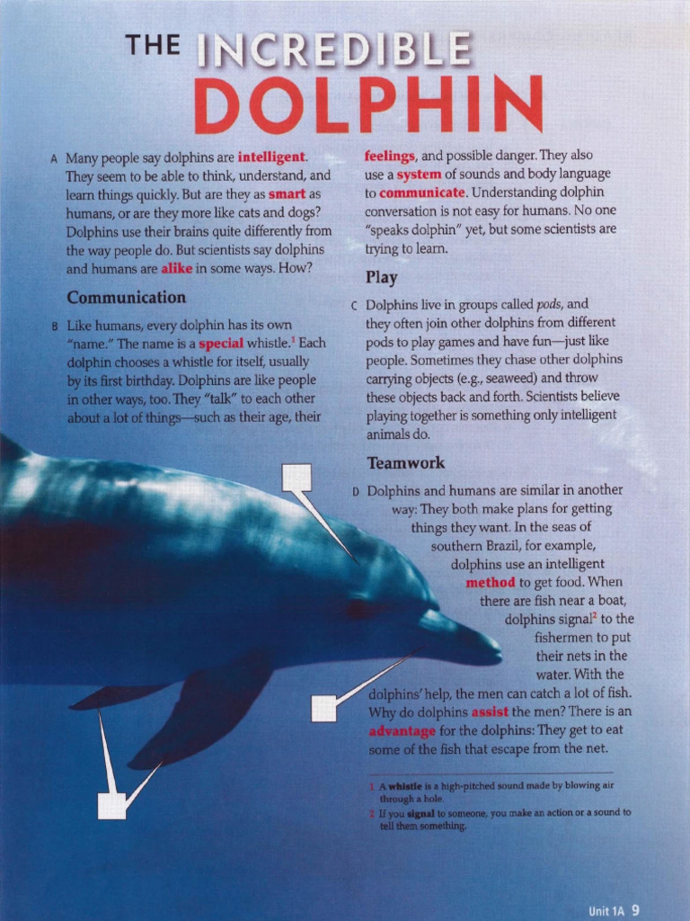 Unit 1A-Incredible Dolphin | PDF