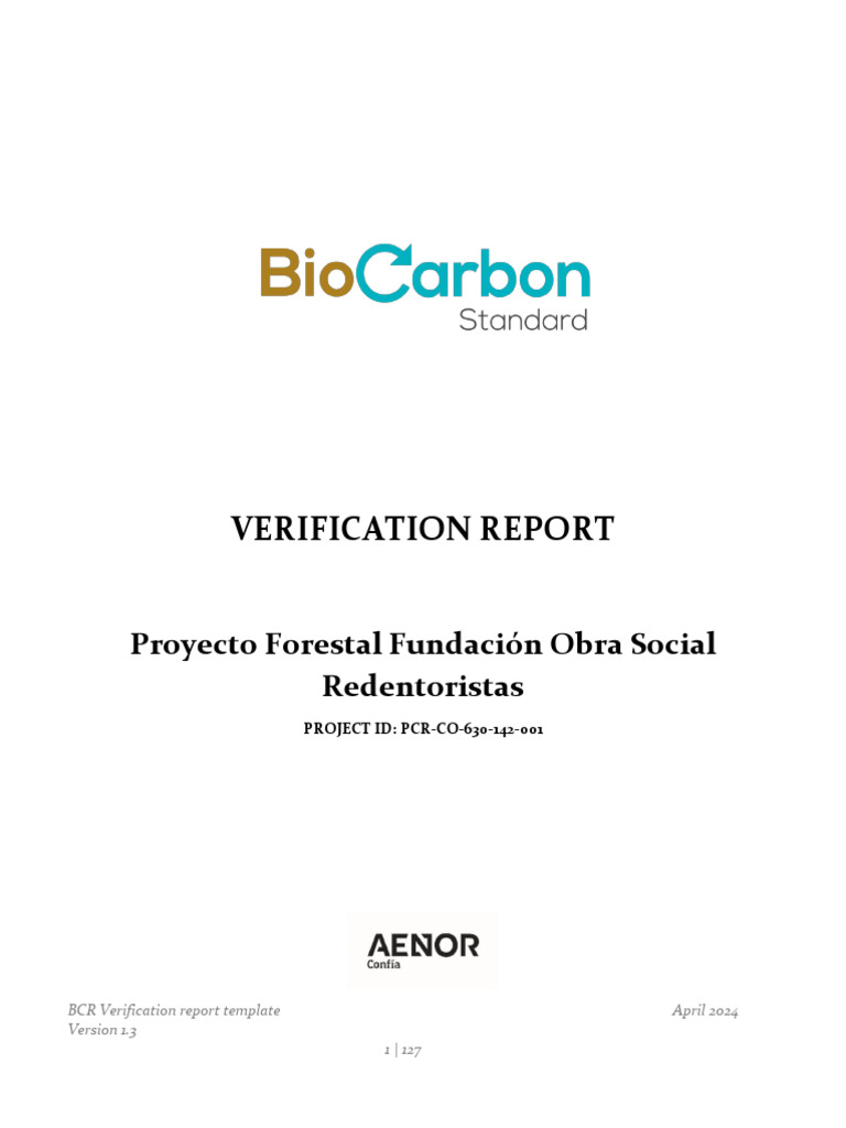 Verification Report File 1744650306833 | PDF | Audit | Verification And ...