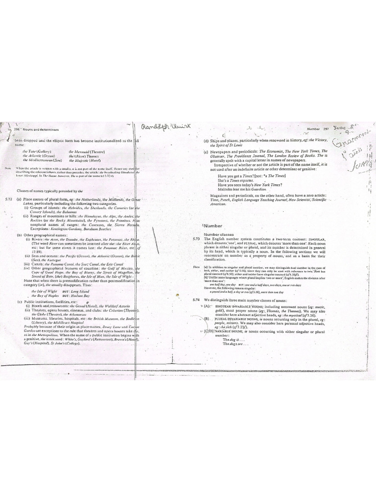 Nouns and Determiners Grammar1 | PDF
