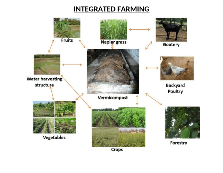 Integrated Farming | PDF